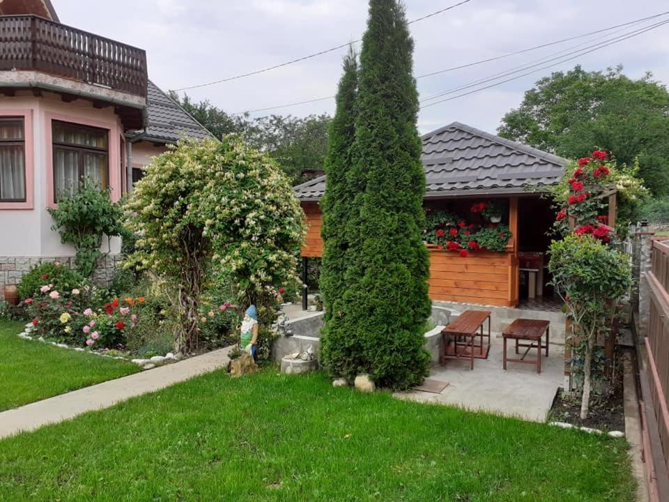 Apartamento Casa Fetic Nehoiu Exterior foto