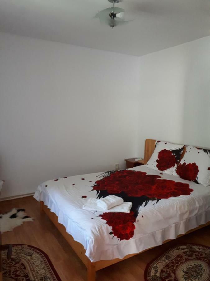 Apartamento Casa Fetic Nehoiu Exterior foto