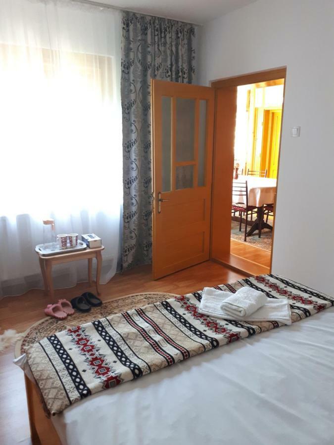 Apartamento Casa Fetic Nehoiu Exterior foto